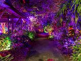 Lights 020