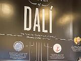 Dali 012
