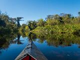 Turner River 009
