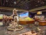 B Blackhawk Museum 015
