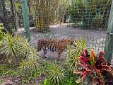 Zoo 012