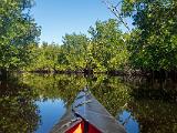 SWFL Day 017