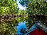 SWFL Day 018