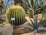 A Botanical Garden 003