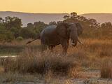 Africa 008