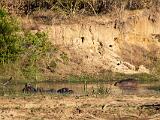 Africa 016