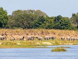 Africa 021