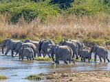Africa 022