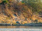 Africa 027