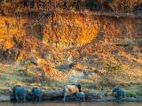 Africa 029