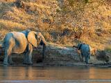 Africa 030