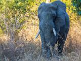 Africa 043