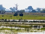 Africa 076