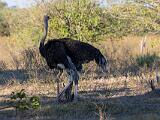 Africa 077