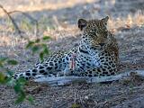 Africa 085