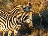 Africa 089