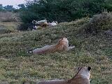 Africa 096