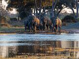 Africa 105