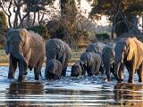 Africa 106