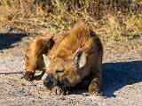 Africa 159