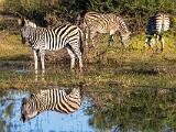 Africa 178