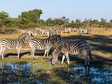 Africa 180