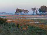 Africa 261