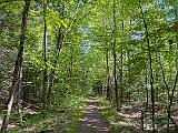 Hudson Valley 004 : America, American, Catskills, Hiking, Hudson Valley, New York, Trail, USA, United States, d. ACTIVITY